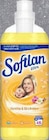 Softlan Weichspüler Vanille & Orchidee im Angebot bei EDEKA in Greifswald Softlan Weichspüler Vanille & Orchidee Angebote von Softlan bei EDEKA Greifswald für 1,29 €