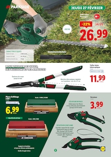 Promo Plantes dans le catalogue Lidl du moment à la page 7