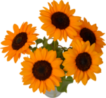BOUQUET DE 5 TOURNESOLS - SANS MARQUE - Auchan Hypermarché BOUQUET DE 5 TOURNESOLS - SANS MARQUE à 5,99 € dans le catalogue Auchan Hypermarché
