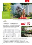 Zaun Zaun