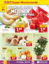 Champignons im Netto Marken-Discount Prospekt in Saarbrücken Aktueller Netto Marken-Discount Prospekt mit Champignons, "Aktuelle Angebote", Seite 60