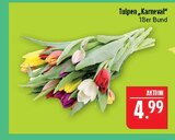 Tulpen 'Karneval' Angebote bei Marktkauf Görlitz für 4,99 €