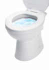 WC Intensivschaum Angebote von Easymaxx bei Netto Marken-Discount Pirna für 14,99 €