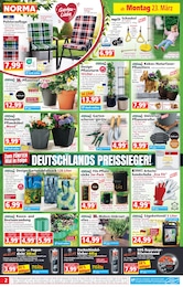 Kinderspielzeug Angebot im aktuellen Norma Prospekt auf Seite 2