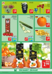 Tomaten im Marktkauf Prospekt in Schweinfurt Aktueller Marktkauf Prospekt mit Tomaten, "AUSWAHL RIESIG, PREISE NIEDRIG", Seite 11