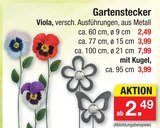 Gartenstecker Viola im aktuellen Zimmermann Prospekt