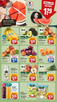 Pflanzen im aktuellen REWE Prospekt (Oberhausen) Pflanzen im REWE Prospekt "Dein Markt" mit 32 Seiten (Oberhausen)