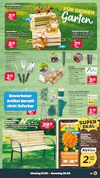 Netto mit dem Scottie Gartendeko im Prospekt Netto mit dem Scottie Gartendeko im Prospekt