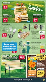Computermaus Angebote im Prospekt "Günstig. Besser. Für Dich." von Netto mit dem Scottie auf Seite 23