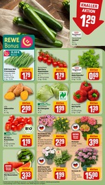 Aktueller REWE Prospekt mit Paprika, "Dein Markt", Seite 5