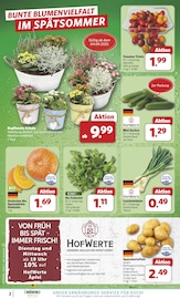 Aktueller combi Prospekt mit Kürbis, "Markt - Angebote", Seite 2