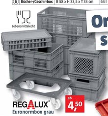 Euronormbox grau bei BAUHAUS in Offenbach Euronormbox grau im Angebot bei BAUHAUS Offenbach