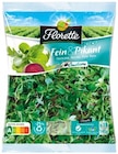Aktuelles Salat Fein & Pikant Angebot bei REWE in Mainz ab 1,79 €
