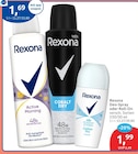 Active Morning Deo-Spray im Angebot bei budni in Hamburg Active Morning Deo-Spray Angebote von Rexona bei budni Hamburg für 1,99 €
