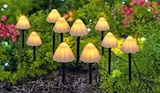 ROLLER - Solar-LED-Lichterkette Angebot im Prospekt Solar-LED-Lichterkette bei ROLLER im Prospekt "" für 4,99 €