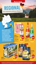 Penny Bier im Prospekt 