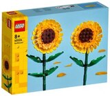 REWE Renningen - Blumen Angebot im Prospekt Blumen bei REWE im Renningen Prospekt für 12,99 €