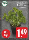 EDEKA Alsdorf - Basilikum Angebot im Prospekt Basilikum bei EDEKA im Alsdorf Prospekt für 1,49 €