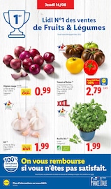 Plante Verte Angebote im Prospekt "XXL GRAND FORMAT MINI PRIX" von Lidl auf Seite 4