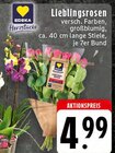 EDEKA - Lieblingsrosen Angebot im Prospekt Lieblingsrosen bei EDEKA im Prospekt "" für 4,99 €