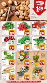 Ähnliche Rasendünger Angebote im Prospekt "Dein Markt" von REWE in Bornheim Ähnliche Angebote wie Rasendünger im Prospekt "Dein Markt" auf Seite 7 von REWE in Bornheim