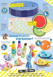 TEDi Teppich im Prospekt 