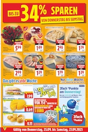 Sträucher Angebot & Preis im aktuellen EDEKA Prospekt Sträucher Angebot im aktuellen EDEKA Prospekt auf Seite 23