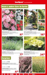 Blumen Angebot & Preis im aktuellen bauSpezi Prospekt Blumen Angebot im aktuellen bauSpezi Prospekt auf Seite 3