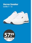 Herren Sneaker von  im aktuellen V-Markt Prospekt für 57,99 €