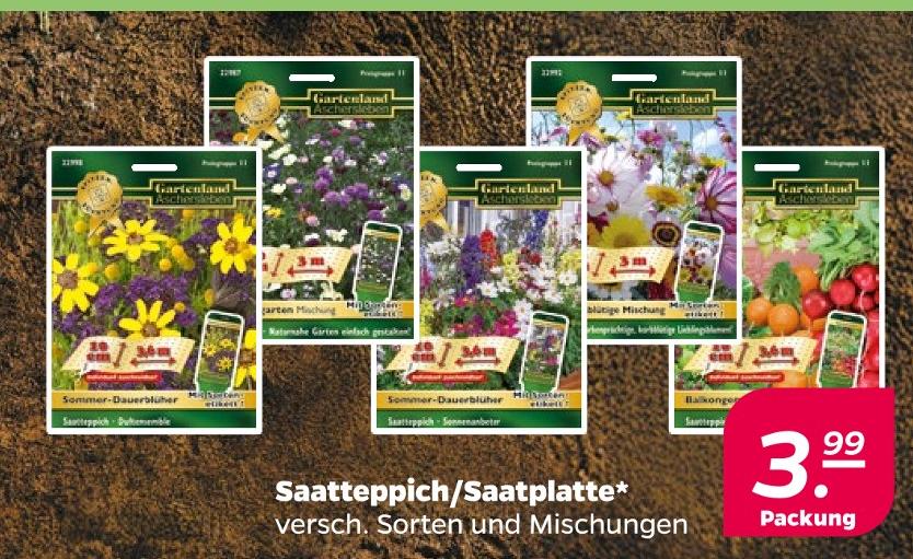 Saatteppich/Saatplatte*