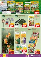 Saatgut im Netto Marken-Discount Prospekt in Menden Aktueller Netto Marken-Discount Prospekt mit Saatgut, "Aktuelle Angebote", Seite 44