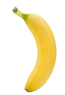 Bio Bananen Angebote bei E center Trier für 1,69 €