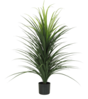 Dracena - Maxi Bazar Dracena à 59,99 € dans le catalogue Maxi Bazar