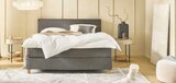 Möbel Mahler Siebenlehn Großschirma - Boxspringbett Angebot im Prospekt Boxspringbett bei Möbel Mahler Siebenlehn im Großschirma Prospekt für 1.298,00 €