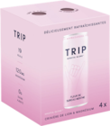 Boisson infusée au CBD Fleurs de sureau et menthe - TRIP en promo chez Monoprix Boisson infusée au CBD Fleurs de sureau et menthe - TRIP dans le catalogue Monoprix