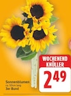 Sonnenblumen für 2,49 € bei E center im Angebot Sonnenblumen im aktuellen E center Prospekt