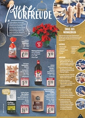 Weihnachtsstern Angebote im Prospekt "Aktuelle Angebote" von EDEKA auf Seite 23