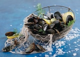 Moules de corde à Auchan Hypermarché dans Villeneuve-de-la-Raho