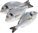 Daurade dans le catalogue Supermarchés Match