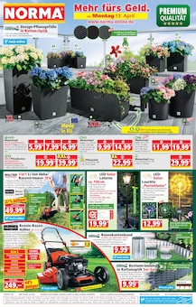 Blumentopf im Norma Prospekt "Mehr fürs Geld" mit 20 Seiten (Karlsruhe)