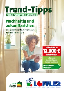 Bauzentrum Löffler Prospekt Trend-Tipps für die energetische Sanierung mit 11 Seiten