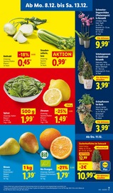 Aktueller Lidl Prospekt mit Obst, "LIDL LOHNT SICH", Seite 17
