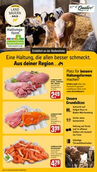 Braten im aktuellen REWE Prospekt (Freiburg (Breisgau)) Braten im REWE Prospekt "Dein Markt" mit 31 Seiten (Freiburg (Breisgau))