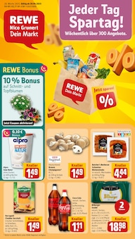 REWE Prospekt Dein Markt mit 30 Seiten
