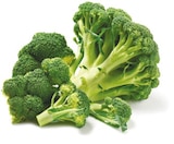 Broccoli von GO Regio für 1,39 € bei Netto mit dem Scottie im Angebot Broccoli von GO Regio im aktuellen Netto mit dem Scottie Prospekt