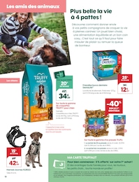 Offre Croquettes Chien dans le catalogue Truffaut du moment à la page 10