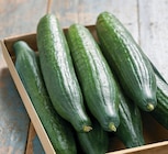 Promo Concombre à 1,88 € dans le catalogue Intermarché Contact à Chalindrey