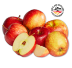 Penny Bottrop Prospekt mit  im Angebot für 1,49 €