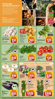 Gemüse im REWE Prospekt "Dein Markt" mit 28 Seiten (Krefeld)