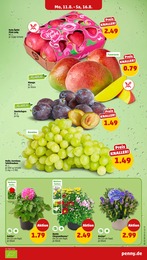 Äpfel Angebot im aktuellen Penny Prospekt auf Seite 3